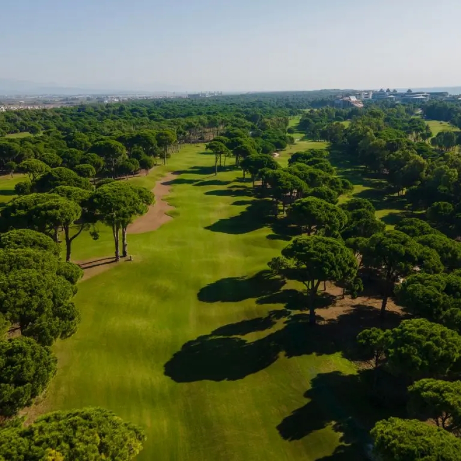 PINES GOLF COURSE