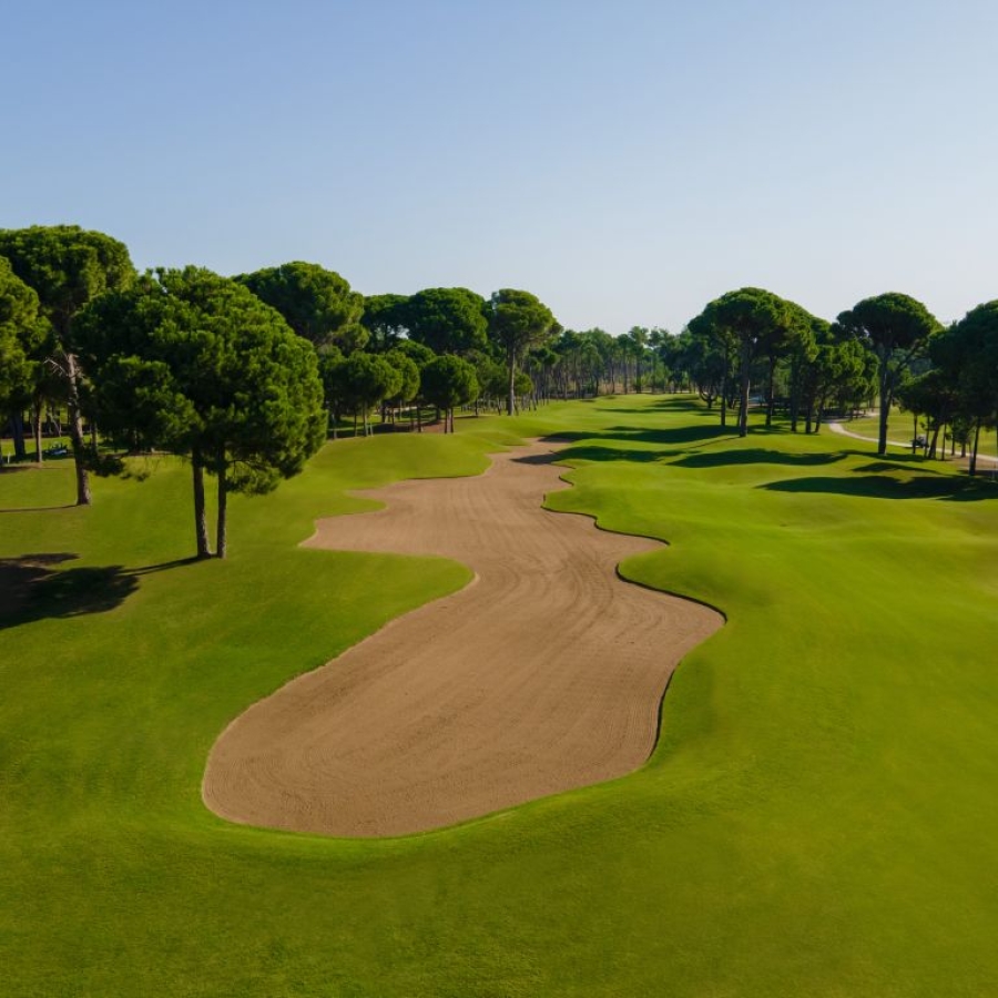 PINES GOLF COURSE