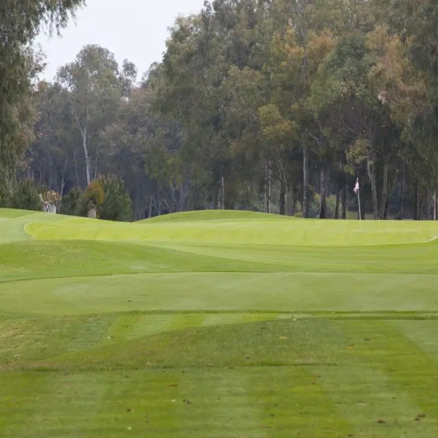 PASHA GOLF COURSE